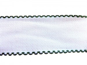 Лента-канва белая с зеленым кантом DSCN4953